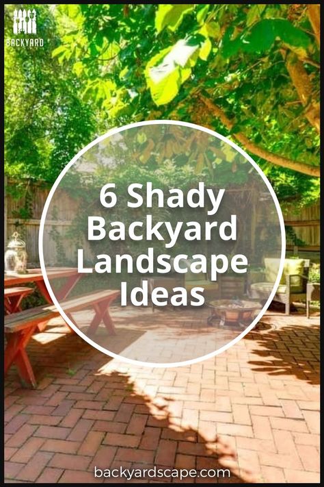 Backyard With Large Trees, Shady Backyard Landscaping Designs, Landscaping Under Trees Backyards, Full Shade Backyard Ideas, Patio Under Trees Backyards, Under Tree Patio Ideas, Landscape Ideas For Shaded Backyard, Backyard Landscaping Shaded Area, Landscaping In Shaded Areas