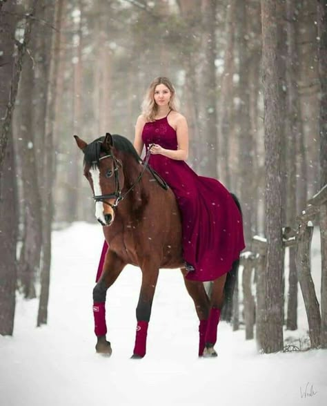 Winter Horse Photoshoot, Equine Photography Poses, Horse Photoshoot Ideas, Horse Photography Poses, Horse Photoshoot, Pictures With Horses, Snow Photoshoot, Winter Horse, Horse Wedding