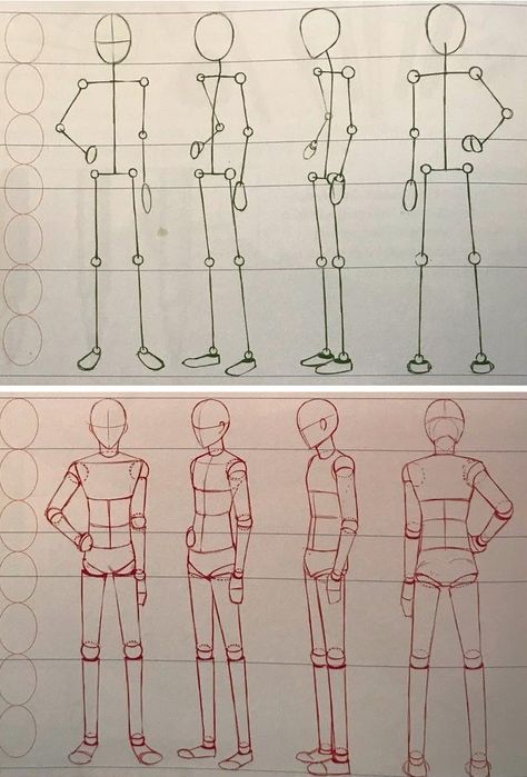 Sketching Anatomy Human Figures, Human Figure Tutorial, Human Anatomy Stick Figures, Basic Anotamy Drawing, Teen Body Anatomy Drawing, Human Anatomy Simplified, Classic Figure Drawing, How To Draw Human Anatomy Step By Step, Drawing People Beginner