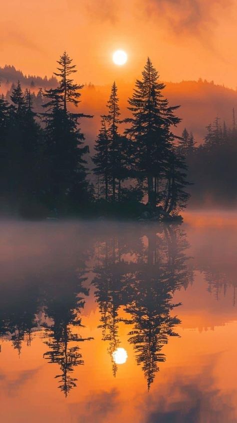 Misty Lake Aesthetic, Foggy Mountain Aesthetic, Sunset Forest Aesthetic, Sunrise In Forest, Sunrise Aesthetics, Peaceful Sunset, Sunset Over Lake, Sunset Reflection, River Sunset