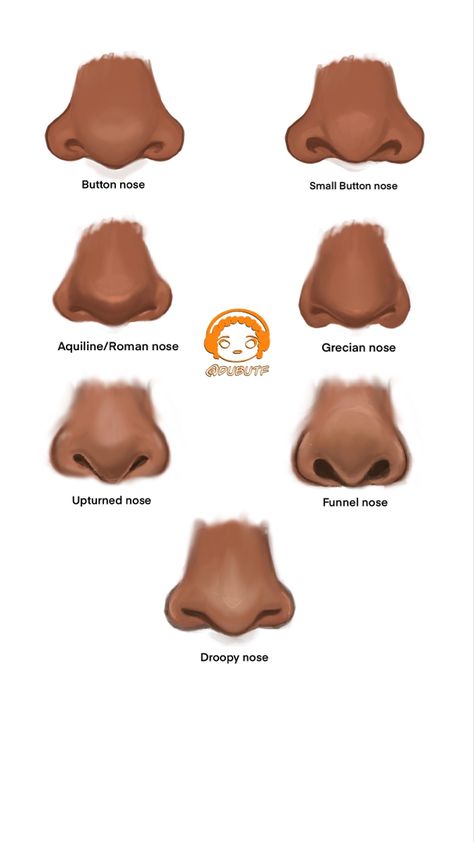 Different types of noses like Roman, funnel, button for a nose tiktok challenge that DubUTF created Aquiline Nose Drawing, Nose Shapes Names, African Nose Drawing, Nose Size Chart, Nose Types Chart, Drawing Black Noses, Arched Nose Front View, How To Draw Poc Nose, Drawing Poc Noses