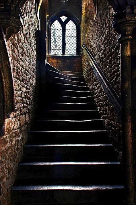 Gothic Academia Aesthetic, Castle Window, Stairs To Heaven, Stair Ladder, Secret Passageways, Stone Stairs, Castle Tower, Basement Stairs, Basement Design Ideas