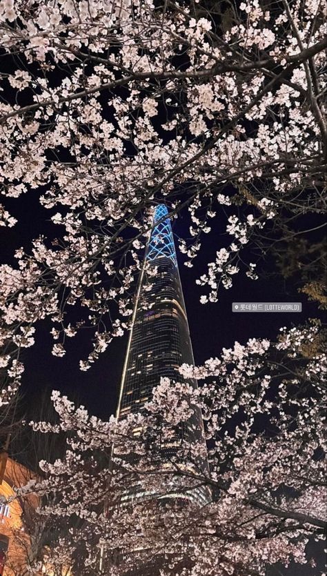 Korea Instagram Story, Korea At Night, Korea Instagram, Namsan Tower, Seoul Korea Travel, Seoul Travel, South Korea Seoul, South Korea Travel, Magic City