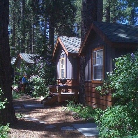 Disposable Camera Beach, Parent Trap Camp, 1984 Ahs, Camp Redwood, American Summer Camp, Summer Camp Aesthetic, Camp America, Camping Books, Cabin Aesthetic