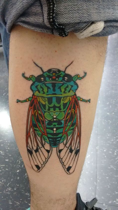 'Ecuadorian Cicada' done by Scott Kalina at Sunken Ship Tattoo (La Salle, IL) Ecuadorian Tattoo, Ecuadorian Art, Sunken Ship Tattoo, Scarab Beetle Tattoo, Cicada Tattoo, Neat Tattoos, Sunken Ship, Beetle Tattoo, Bug Tattoo