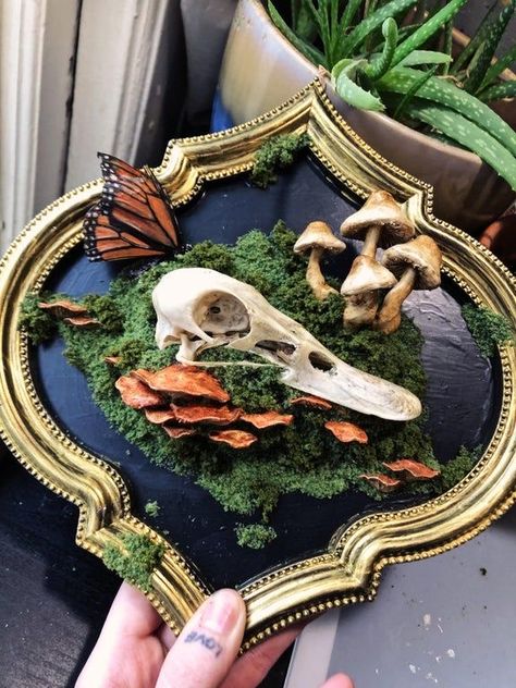 Duck Skull, Oddities Decor, Taxidermy Decor, Taxidermy Art, Bone Crafts, Animal Skull, Vulture Culture, Bone Art, Witchy Crafts