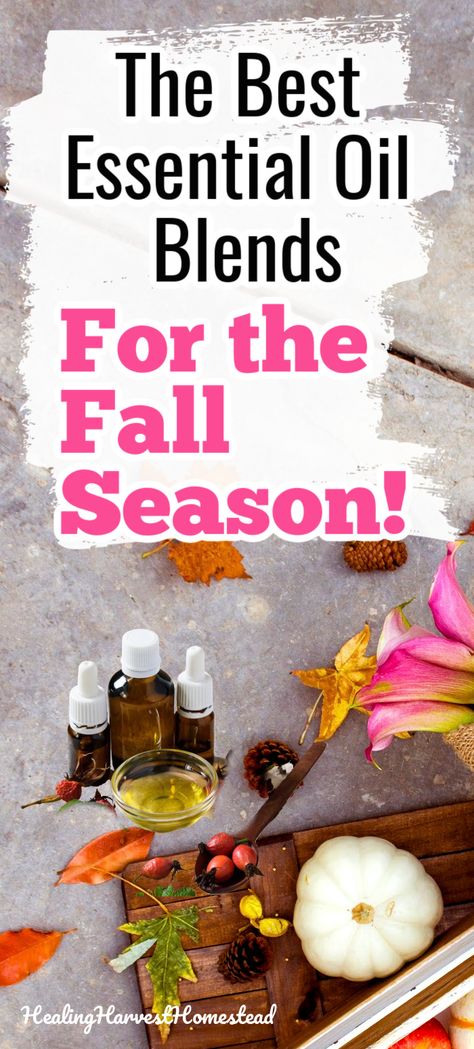 House Smell Like Fall, Homemade Room Spray, Best Smelling Essential Oils, Oils For Health, Fall Hygge, Fall Essential Oil Blends, Fall Smells, Fall Essential Oils, Fall Diffuser Blends