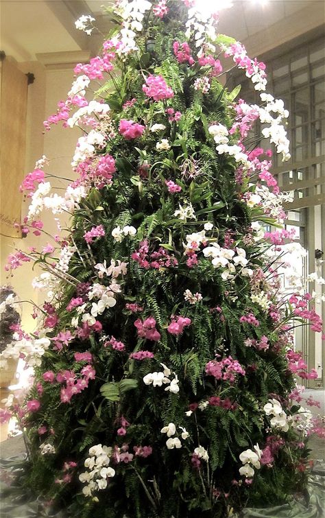 Phalaenopsis orchids Christmas tree. Via Orchid Kingdom. Unconventional Christmas Trees, Christmas Tree 2023, Christmas Competitions, Botanical Christmas, Floral Christmas Tree, Old Mirrors, Spring Tree, Family Christmas Cards, Christmas Interiors