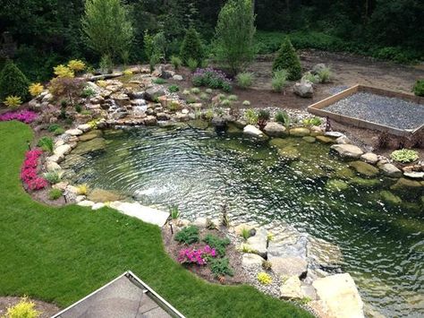 Small Backyard Ponds, Low Maintenance Backyard, Backyard Ponds, Farm Pond, Water Gardens Pond, Natural Swimming Ponds, Pond Maintenance, Backyard Pond, Garden Pond Design