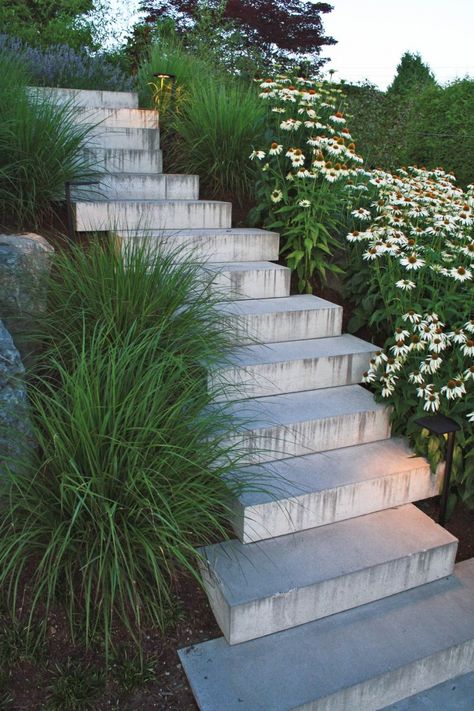 Grasses soften the hardscape while a neat stack of concrete stairs creates a path on this hillside garden. Botanica Design Concrete Steps on Orchard Way | Gardenista Landscape Stairs, Landscape Steps, Residential Landscaping, Hillside Garden, نباتات منزلية, Garden Stairs, Concrete Stairs, Hillside Landscaping, Outdoor Steps