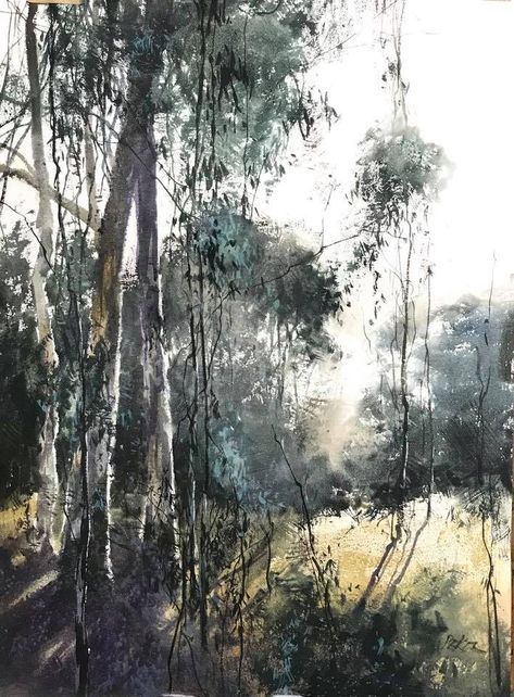 Advanced Watercolor, Herman Pekel, Landscapes Paintings, Australian Painting, Abstract Tree Painting, Rain Painting, Air Painting, Tree Artwork, Charcoal Art