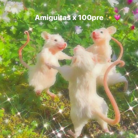 MOODcito para este día de la amistad! Cuál le dedicas a tu bestie? • La última me identifica 🙂‍↕️ Amistad Aesthetic, Mice, Not Mine, So Cute