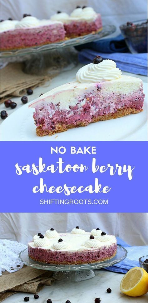 Dreading turning on your oven? No bake Saskatoon berry cheesecake to the rescue! Make this easy summer dessert recipe when you need a fancy cake with fresh summer berries. #saskatoonberry #saskatoonberries #nobakecheesecake #nobake #summerdessert #summerrecipe #sweettreats Saskatoon Berry Cheesecake, Saskatoon Recipes, Saskatoon Berry Recipe, Berry Cheesecake Recipes, Easy Summer Dessert Recipes, Easy Summer Dessert, Saskatoon Berry, Berry Cheesecake, Easy Summer Desserts