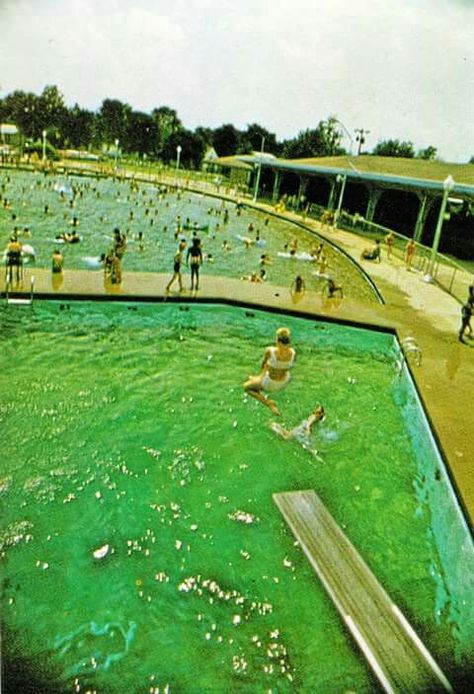 Owensboro Ky Sports Center Pool Owensboro Kentucky, Owensboro Ky, Sport Center, Sports Center, My Old Kentucky Home, Handy Dandy, Dandy, Travel Usa, A Child