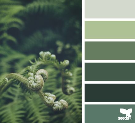 Nature tones Fern Color Palette, Fern Green Bedroom, Fern Green Color Palette, Greens Palette, Design Seed, Palette Green, Nature Living, Seeds Color, Fern Frond