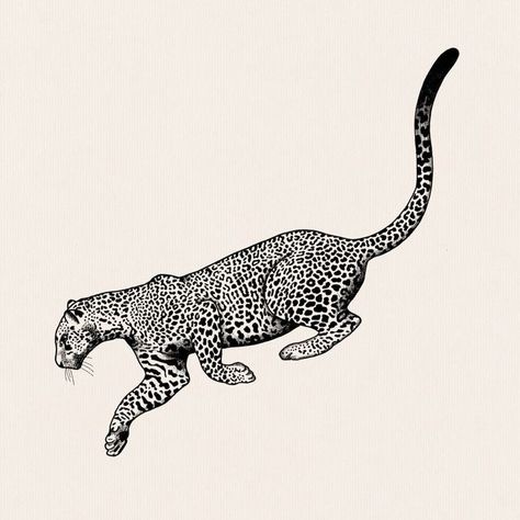 Ocelot Tattoo, Jaguar Tattoo Design, Leopard Tattoo Design, Feline Tattoo, Tattoo Leopard, Leopard Drawing, Jungle Tattoo, Leopard Tattoo, Big Cat Tattoo