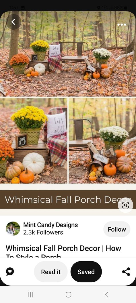 Simple Fall Photo Booth Ideas, Simple Fall Photoshoot Setup, 1st Fall Photoshoot, Fall Outdoor Picture Setup, Diy Fall Mini Photo Shoots, Fall Pictures Backdrop, Fall Photoshoot Backgrounds, Fall Picture Background Ideas, Fall Festival Photo Booth Ideas Diy