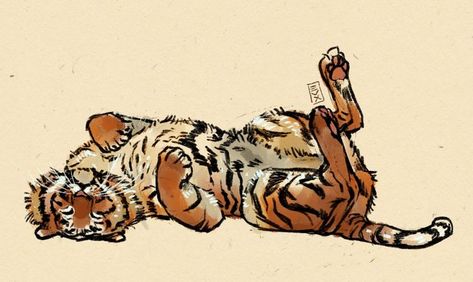 Year Of The Tiger, A Tiger, The Tiger, Tigers, Happy New, Happy New Year, Internet, Energy, Tumblr