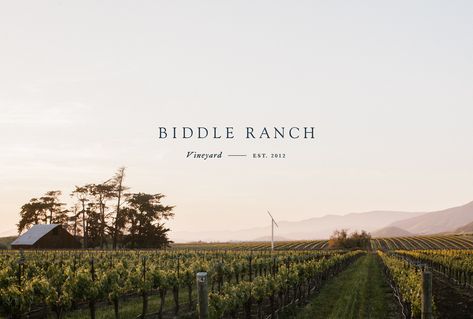 Biddle Ranch Vineyard on Behance Vineyard Branding, Winery Branding, Barn Illustration, Vineyard House, Wine Label Design, Guest Houses, Brand Refresh, Web Layout Design, Web Layout