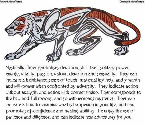 Tiger Tiger Spiritual Meaning, Tiger Symbolism, Tiger Spirit Animal, Spirit Animal Meaning, Tiger Spirit, Animal Meanings, Animal Spirit Guides, Animal Guides, Animal Spirit