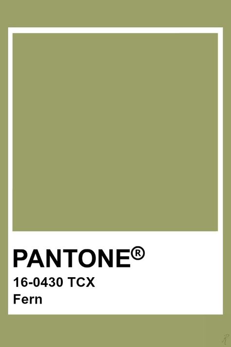 Pantone Fern Fern Color Palette, Pantone Tcx Green, Fern Green Color Palette, Olive Pantone, Pantone Green Shades, Pantone Shades, Pantone Swatch, Pantone Tcx, Pantone Green