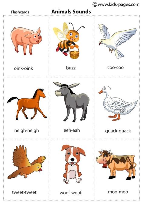 Animals And Their Sounds In English - Learn English,vocabulary,english 6C5 Animals And Their Sounds, Sounds In English, Vocabulary English, Animal Sounds, Learn English Vocabulary, English Vocabulary, Learn English, Vocabulary, Minnie Mouse