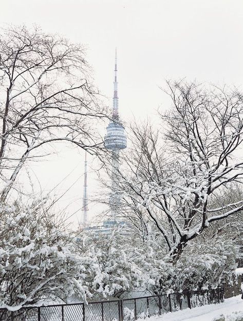 Winter In Seoul, South Korea, Seoul, Tower, Building