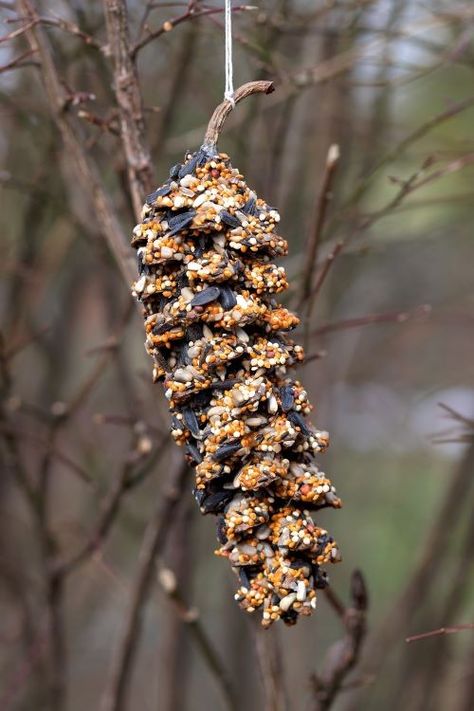 Pine Cone Bird Feeder, Bird Feeder Plans, Bird Feeder Craft, Bird Seed Ornaments, Messy Crafts, Homemade Bird Feeders, Diy Pinecone, Diy Bird Feeder, Cones Crafts