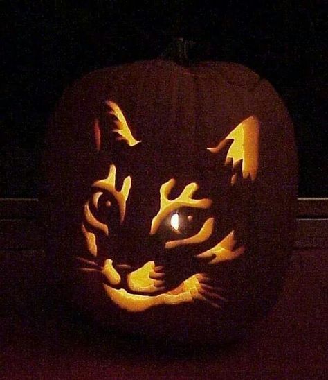 Pumpkin Gothic Cats, Halloween Pumpkin Templates, Cat Pumpkin Carving, Kitty Pumpkin, Halloween Pumpkin Crafts, Watercolor Cats, Biology Projects, Halloween Pumpkin Carving Stencils, Fall Cats