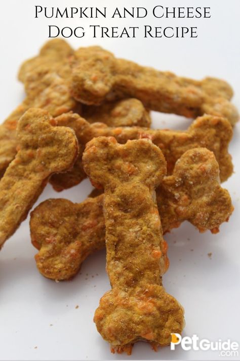 Cheese Dog Treats Homemade, Diy Dog Treats Easy, Pumpkin Dog Treats Recipe, Cheese Dog Treats, Puppy Cookies, Dog Treats Homemade Pumpkin, Beginner Baking Recipes, Bacon Dog Treats, Pet Recipes