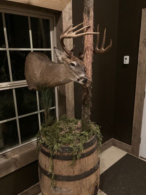 Whiskey Barrel Deer Mount, Pedestal Deer Mount Ideas, Cool Deer Mounts, Decorating With Deer Mounts, Homemade Deer Blinds, Hunting Decor Living Room, Hunting Room Design, Hunting Mounts, Fox Taxidermy