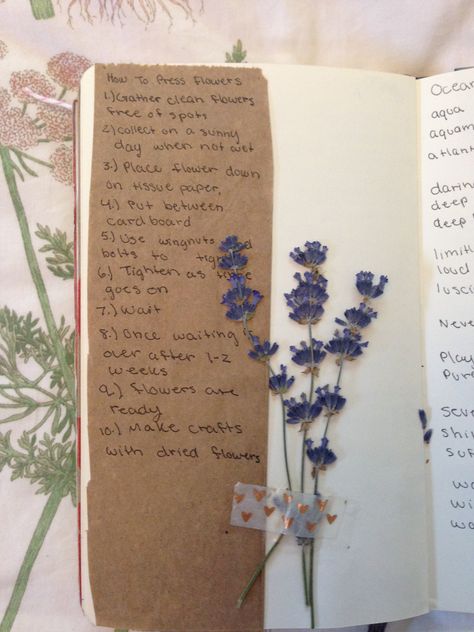 Pressed Flower Journal Page, Poetry Journal Ideas Notebooks, Pressed Flowers In Journal, Pressed Flower Journal Ideas, Flower Pressing Aesthetic, Flowers In Journal, 2024 Journal Cover Page, Flower Pressing Journal, Pressed Flowers Journal