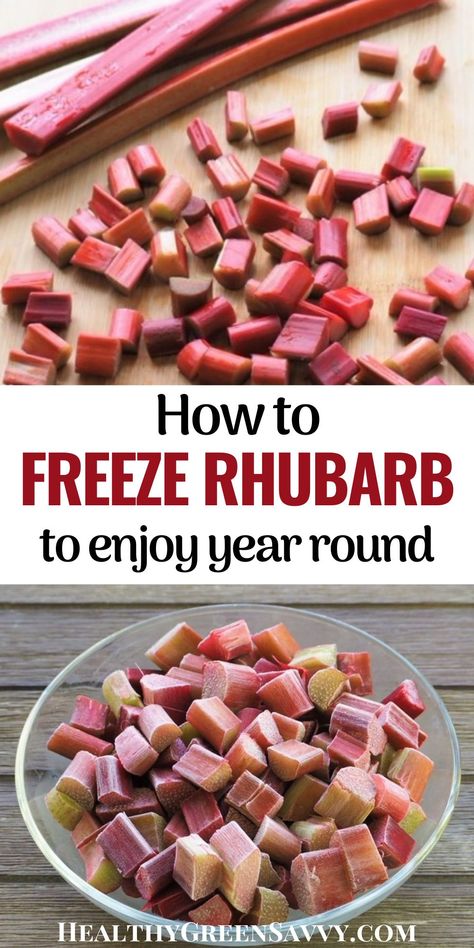 Freezing rhubarb is an easy way to preserve your rhubarb harvest. Here's what to know about how to freeze rhubarb so you can enjoy it all year round. #rhubarb #seasonaleating #foodpreservation How To Preserve Fresh Rhubarb, How To Freeze Fresh Rhubarb, How To Use Frozen Rhubarb, Things To Do With Rhubarb, Freezing Rhubarb How To, How To Freeze Rhubarb, Rhubarb Savory Recipes, Green Rhubarb Recipes, Fresh Rhubarb Recipes