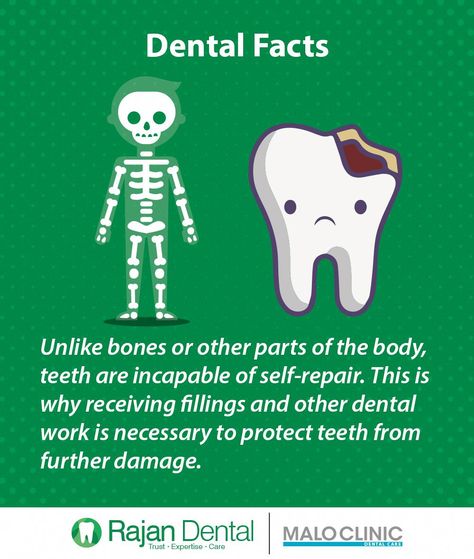 Fun Dental Facts, Dental Terminology, Dental Information, Dental Quotes, Dental Ideas, Dental Social Media, Dental Posts, Dental Posters, Dental Health Month