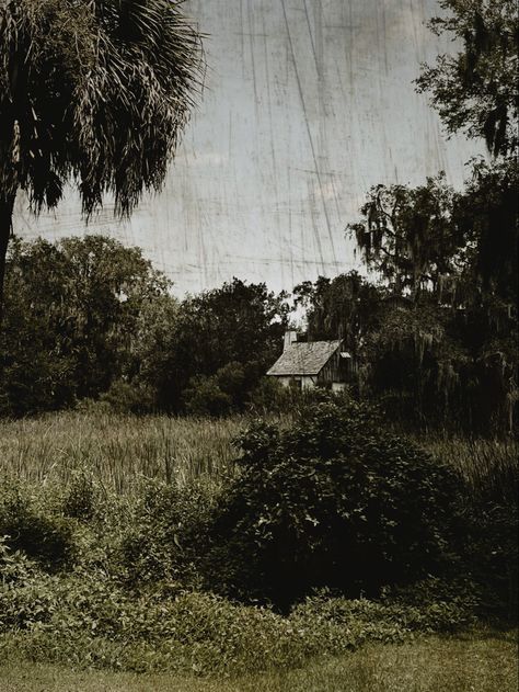 photo by me!! Taken in St Simons, Georgia Preacher Aesthetic, Gothic Summer, Folk Horror, Gothic Photography, Abandoned Church, St Simons, Old Cottage, Southern Gothic, Case Study