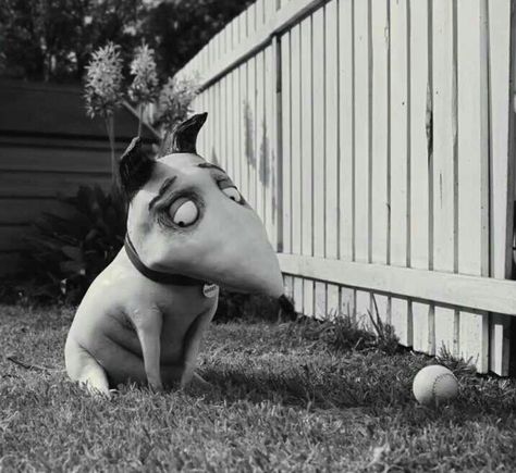 🖤 Frankenweenie Pfp, Frankenweenie Aesthetic, Charlie Tahan, Tim Burton Animation, Tim Burton Characters, Tim Burton Style, About A Boy, Martin Short, Tim Burton Films