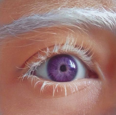 Purple Eye Aesthetic, Purple Eyes Aesthetic, Purple Eye Color, Light Purple Eyes, White Hair Purple Eyes, Lilac Eyes, Lavender Eyes, Eyes Don't Lie, Lilac Eye