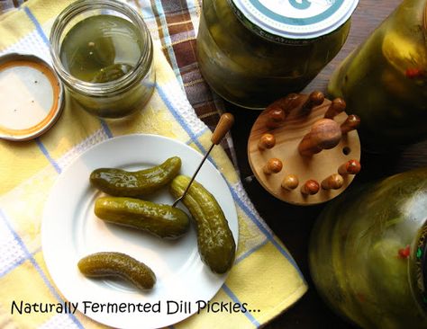 Home Cooking In Montana: Brined Dill Pickles (naturally fermented without vinegar)... Romanian Castraveti Murati Best Dill Pickle Recipe, Fermented Pickles Recipe, Fermented Dill Pickles, Homemade Pickles Dill, Watermelon Recipe, Salad Art, Dill Pickle Recipe, Pickled Foods, Bbq Sausage