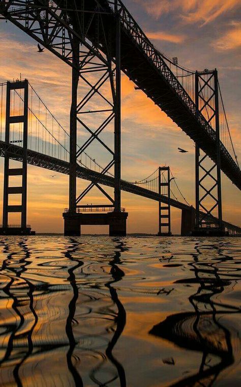 Maryland Aesthetic, Chesapeake Bay Bridge, Puerto Peñasco, Water Under The Bridge, Commercial Fishing, Background Reference, Forest Falls, Bridge Over Troubled Water, Under The Bridge