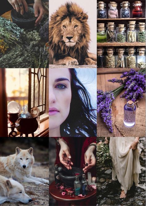 Circe greek goddess of magic aesthetic inspiration mood board mythology Circe Goddess Aesthetic, Circe Goddess Art, Circe Book, Circe Aesthetic, Circe Goddess, Reading Bujo, Silmarillion Fanart, Greek Goddess Of Magic, Goddess Of Magic