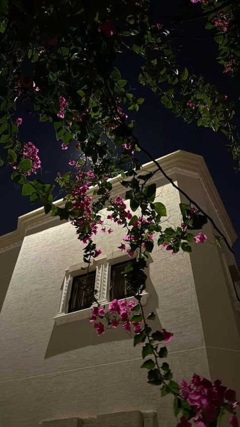 Night Flowers Aesthetic, Flowers Nature Aesthetic, Moonlight Flowers, Aesthetic Pink Flowers, Moonlight Aesthetic, Night Landscape Photography, Pink Tree, Nothing But Flowers, Night Landscape