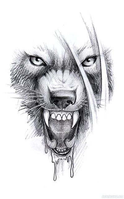 Wolf Face Drawing, Wolf Face Tattoo, Owl Tattoo Drawings, Lion Art Tattoo, Witcher Wallpaper, Wolf Art Print, Wolf Sketch, Wolf Tattoo Sleeve, Wolf Face