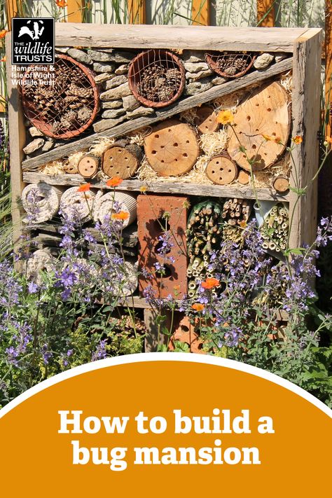 Wooden crate with holes, bricks and twigs. Habitat for wildlife. Text: How to build a bug mansion. Bug Garden Ideas, Bug House Ideas, Insect Garden, Bug Garden, Bug Hotel Ideas, Bug Hotel Ideas Eyfs, Bug House, Wildlife Garden Ideas, Bee Hotel Diy Kids