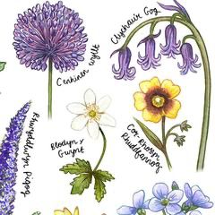 Print - British Wildflowers Botanical Study - Welsh – The Welsh Gift Shop Welsh Flowers, Welsh Mythology, British Wildflowers, Welsh Art, Welsh Lady, British Wild Flowers, Botanical Study, Welsh Blanket, Welsh Gifts