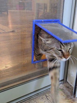 Simple Screen Net Cat Door - Instructables Diy Interior Cat Door, Diy Cat Door, Cat Door For Window, Cat Door Diy, Diy Cat Enclosure, Cat Patio, Cat Flap, Outdoor Cat Enclosure, Pet Doors