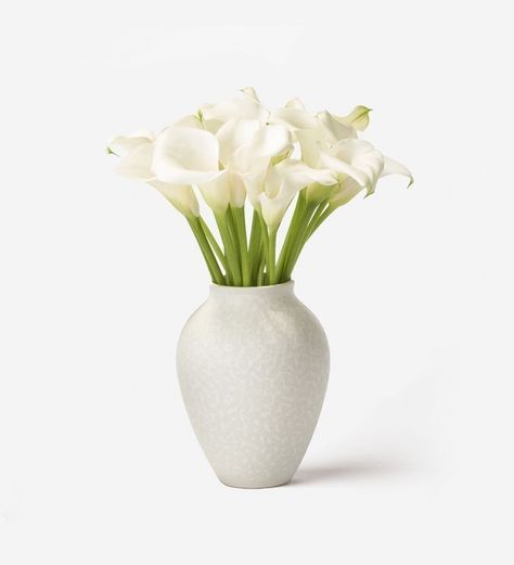 Calla Lily Vase, Peony Care, White Calla Lily, Lily Vases, Fire Quotes, Arum Lily, Calla Lily Flowers, Thank You Flowers, Flower Subscription