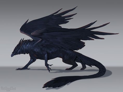 Black Griffin Art, Black Feathered Dragon, Flying Creature Art, Mystical Animals Art, Raven Monster Art, Dark Fantasy Animals, Griffin Concept Art, Giant Bird Fantasy Art, Raven Griffin