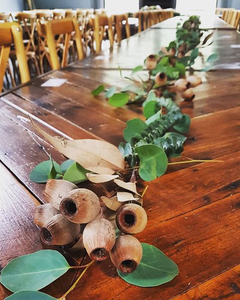 Hunter Valley Bouquets on Instagram: “Gumnuts add a beautiful touch of texture to Milly and Mark's tables . . #weddingflowers #weddingday #wedding #weddinginspiration #garland…” Gum Leaf Table Decorations, Simple Wedding Table Decorations, Flower Table Decorations, Bush Wedding, Xmas Table, Table Garland, Sparkly Party, Rustic Wedding Table, Australian Native Plants