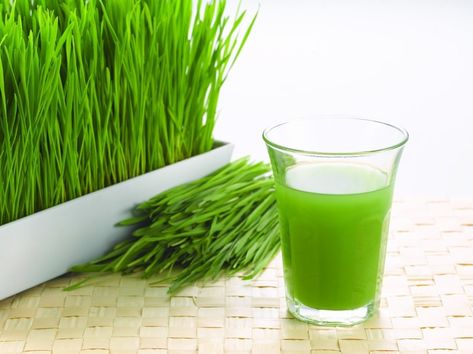 Growing Wheat, Natural Antibiotics, Wheat Grass, Juicing Recipes, Dental Health, Naan, Digestive Health, Kale, Home Remedies