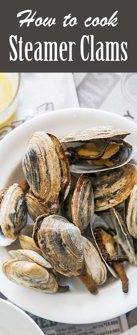 How To Cook Clams In Shell, How To Cook Steamers, Steamer Clam Recipes, Clam Boil, How To Cook Clams, Steamed Clams Recipe, Maine Recipes, Steamer Clams, Seafood Cuisine